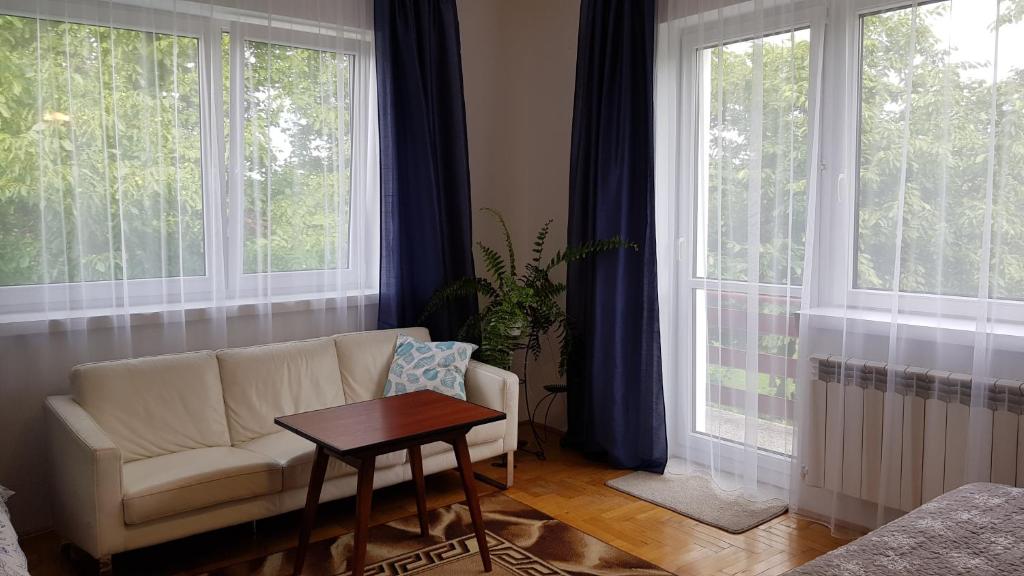 a living room with a couch and two large windows at Apartament Tarnów-Mościce PRZY MOŚCIE in Tarnów