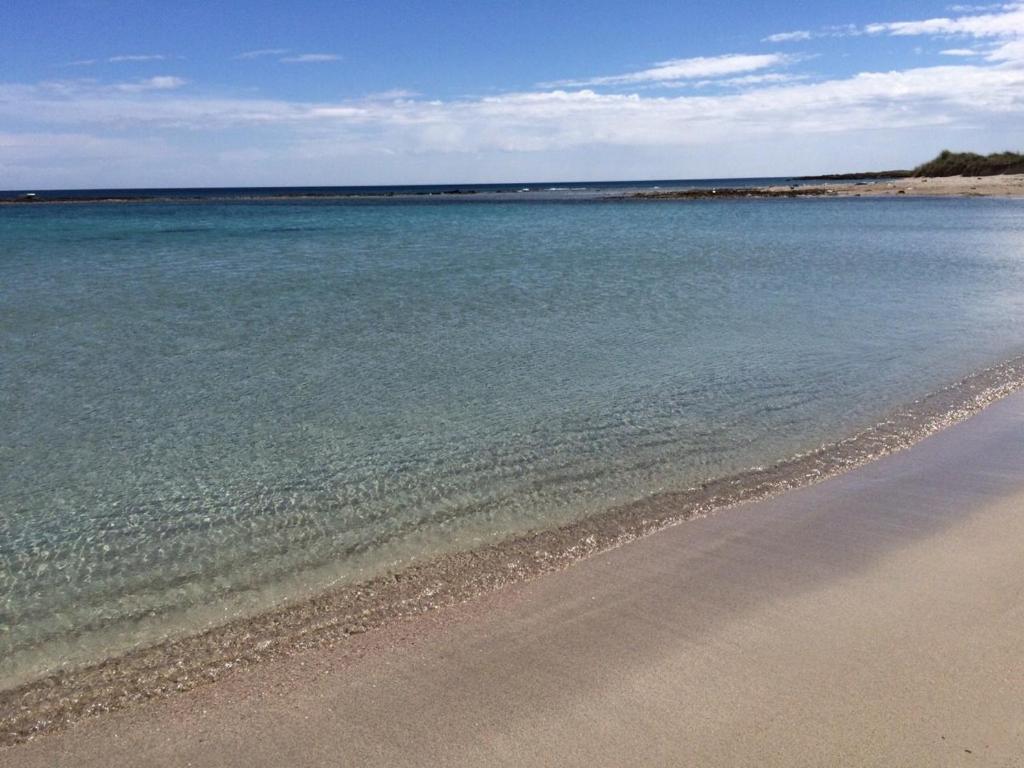 a beach with the ocean and the shoreline at Donnosanto Residence Pantanagianni in Torre Santa Sabina