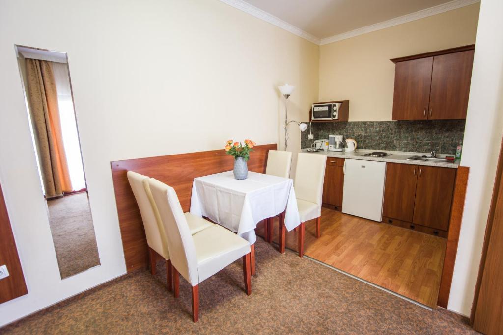 Kuchyň nebo kuchyňský kout v ubytování Hotel Viktória