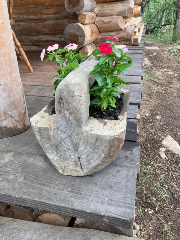 Zahrada ubytování Chez Buddy - cabane de trappeur