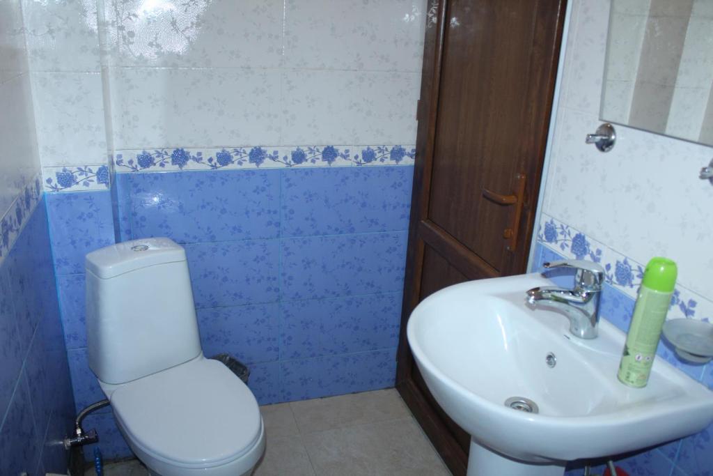 Koupelna v ubytování Roza Guesthouse