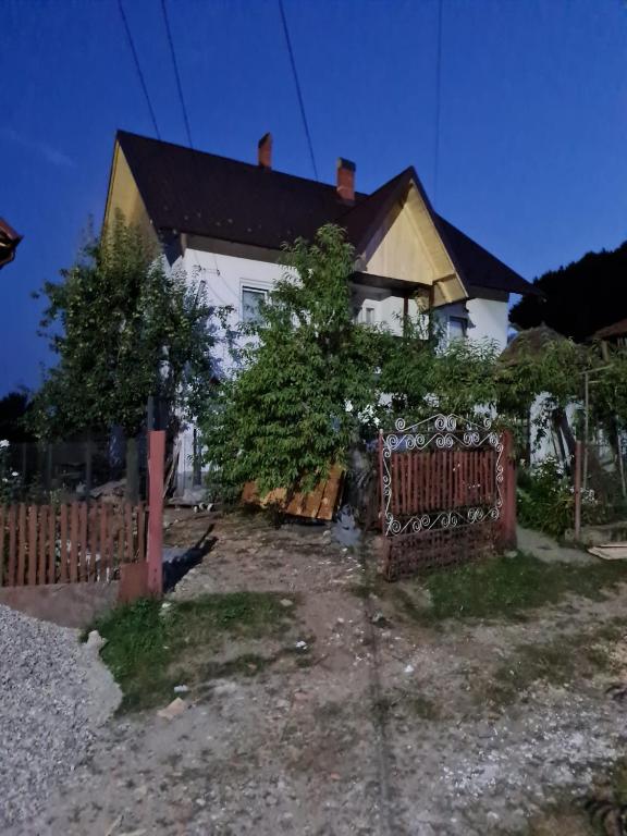 a house with a fence in front of it at Hartiesti county Arges in Câmpulung