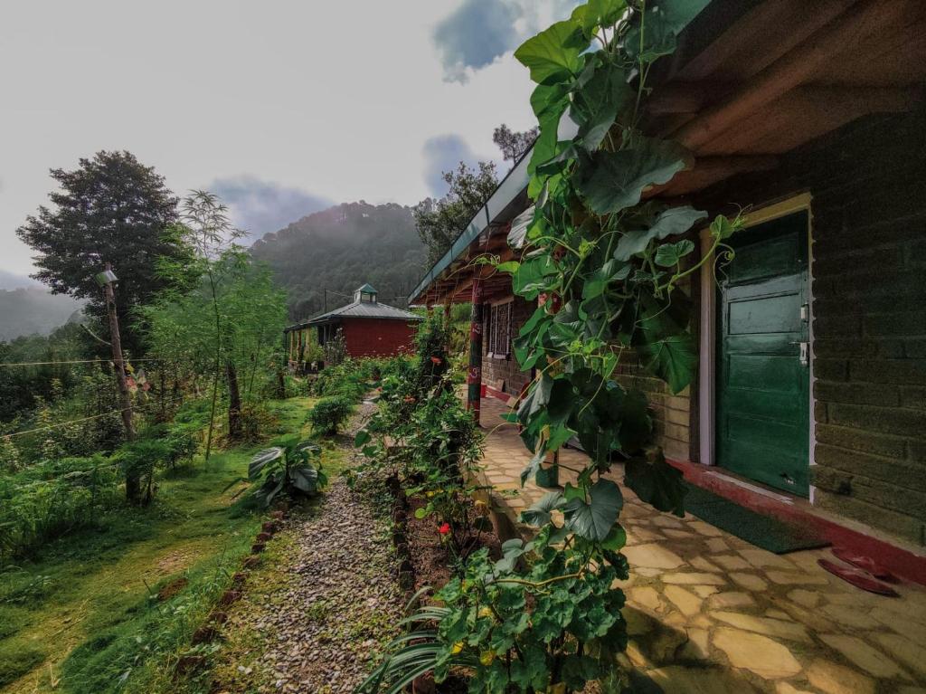 a house with vines growing on the side of it at Zenoaks Homestay in Almora