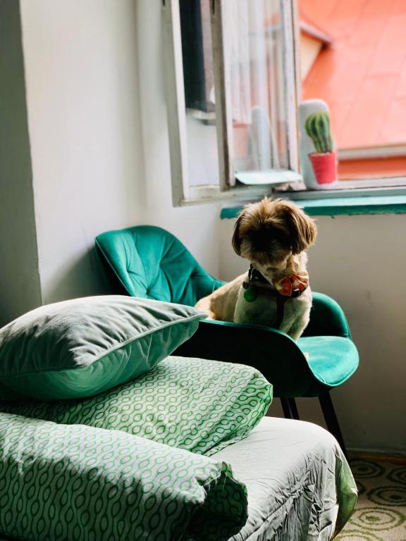 Fotografia z galérie ubytovania KAZIMIERZ-GOOD VIBES APARTMENT for 7 people! v Krakove