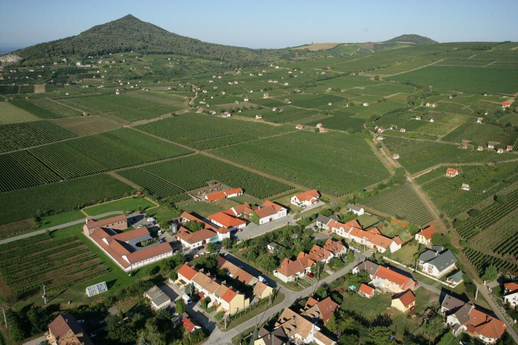 an aerial view of a village with houses and trees at Tiffán's Pincészet és Panzió in Villány