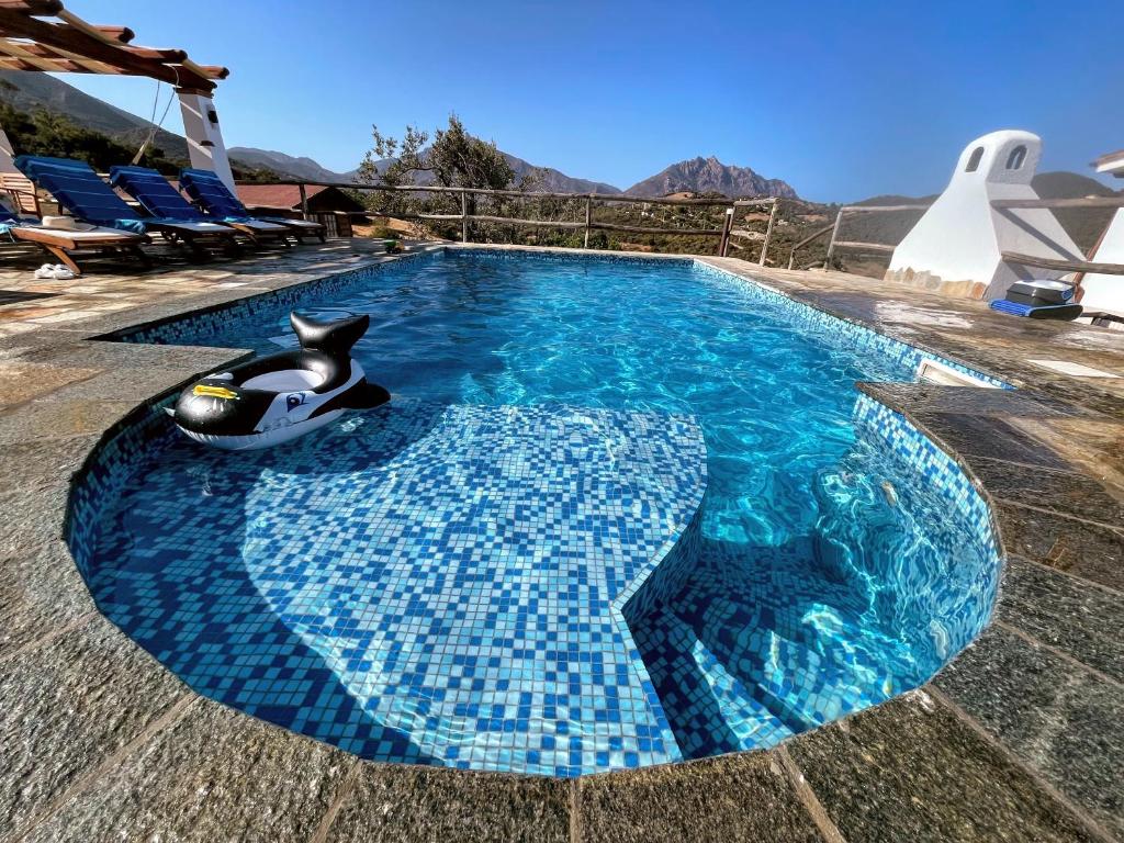 ein Schwimmbad mit einem Pinguin in der Mitte in der Unterkunft Casa vacanza Lentisco D Sardegna Ogliastra in Tertenìa