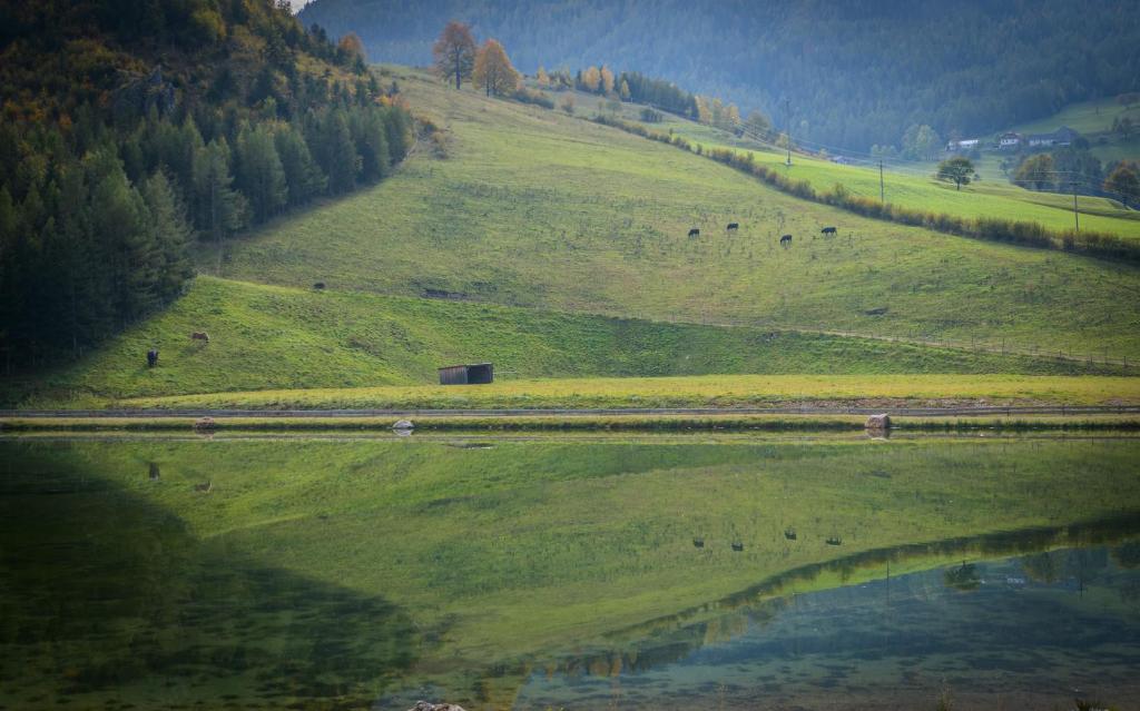 Loodusmaastik apartemendi lähedal
