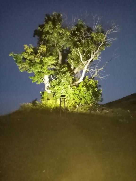 Holiday Home Vile Calimero - 15