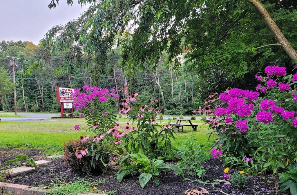 un parque con flores y una mesa de picnic al fondo en Hill Top Motel, en Wrightstown