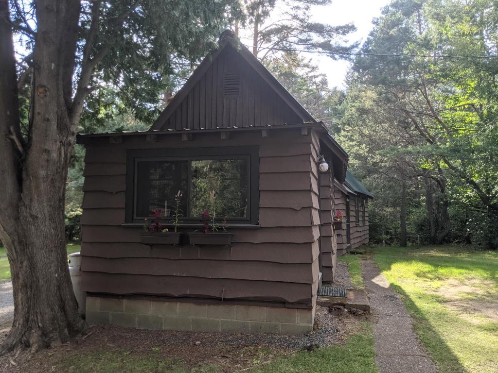 Aed väljaspool majutusasutust Moreno's Adirondack Cabins