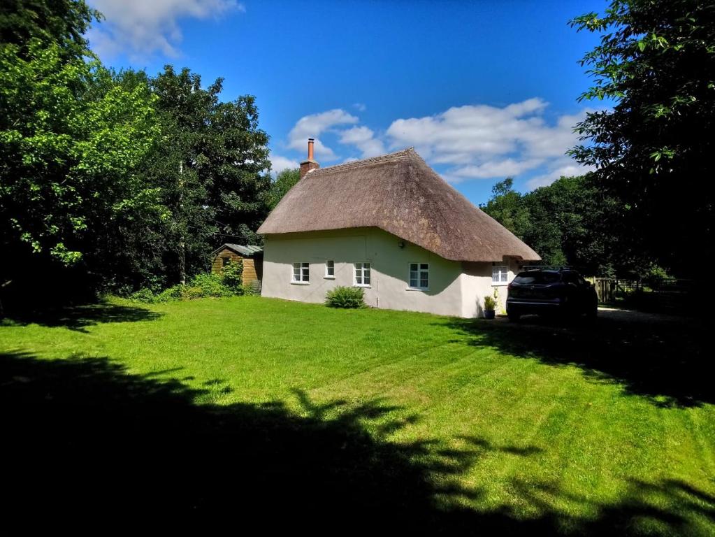 una pequeña casa blanca con techo de paja en Honeysuckle Cottage en Dorchester