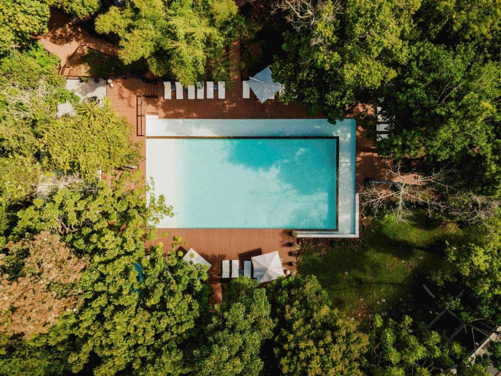 an overhead view of a swimming pool in the trees at Mercure Iguazu Hotel Iru in Puerto Iguazú