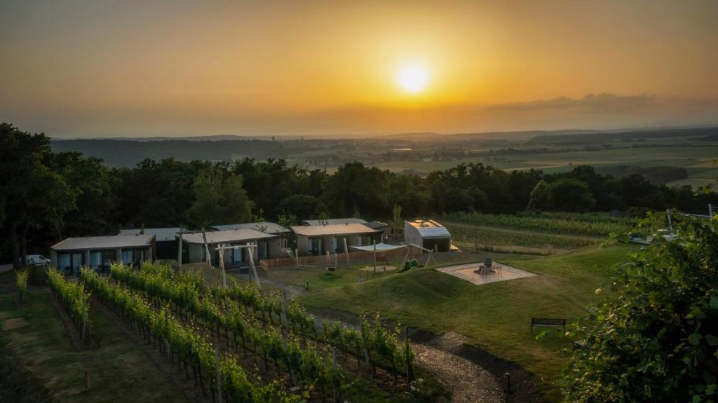 an aerial view of a vineyard with the sunset in the background at Hannersberg in Hannersdorf