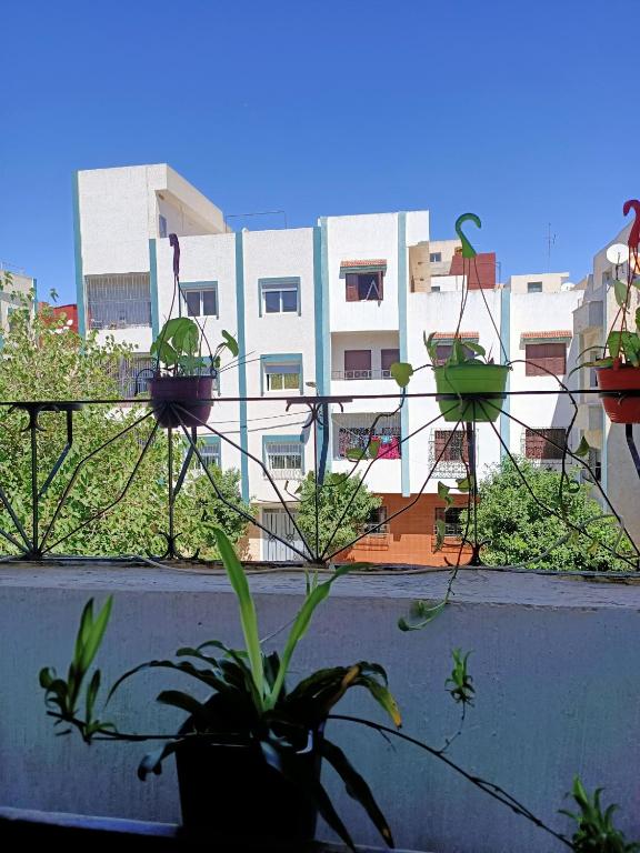 Family home Tetouan - 