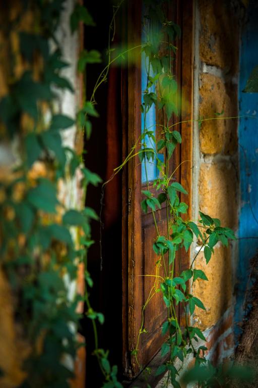 Fotografie z fotogalerie ubytování Hotel CasaMia v destinaci Dolores Hidalgo
