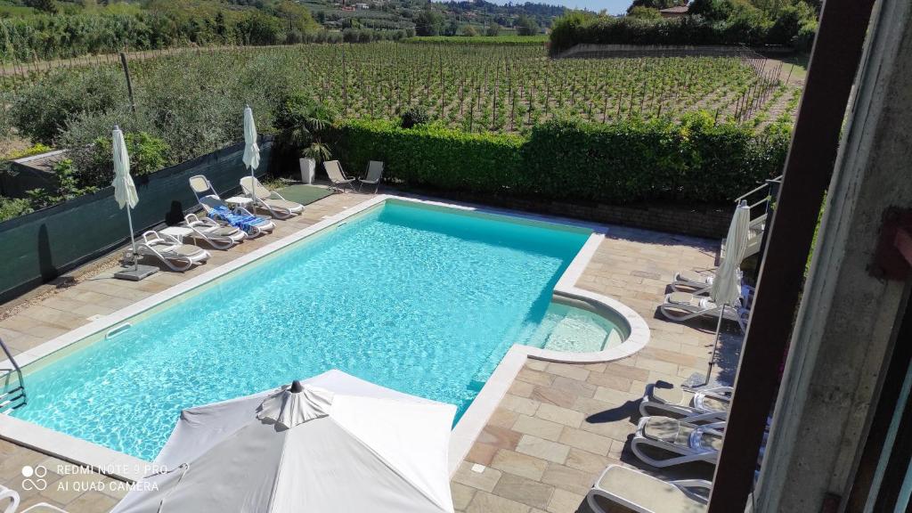 a swimming pool with chairs and a view of a vineyard at Appartamenti a Bardolino in Bardolino