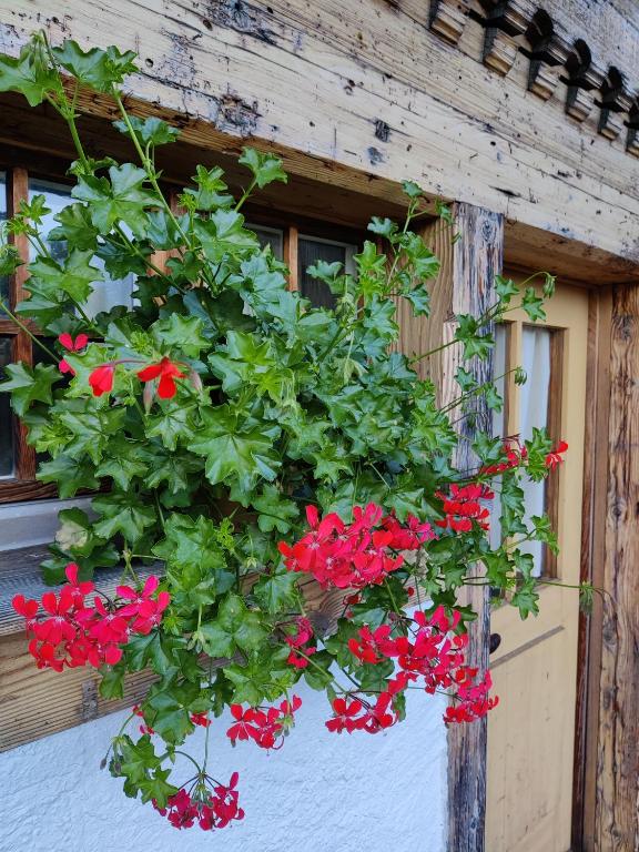 Studio FranGiò - Resim 19