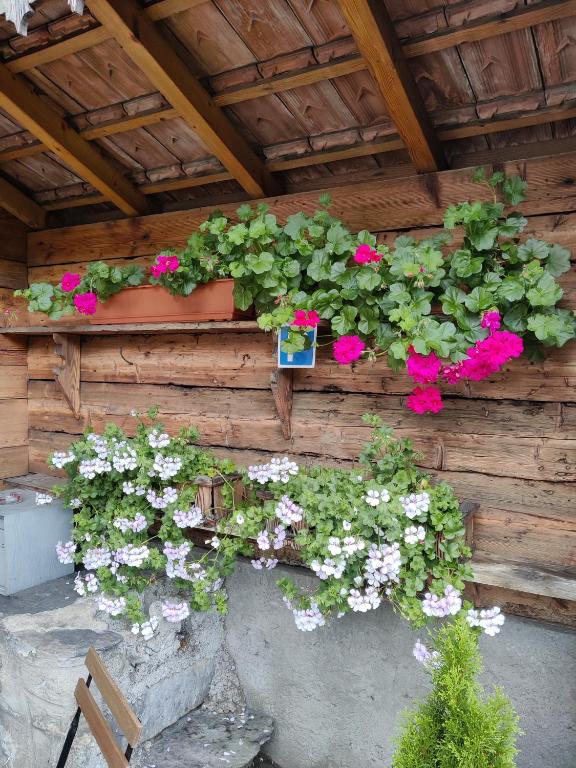 Studio FranGiò - Resim 18