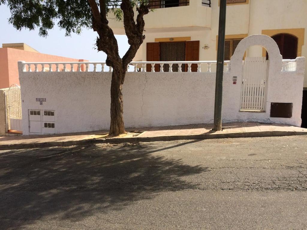 a tree on a sidewalk next to a white wall at Apartamento en Puerto de Mazarrón zona El Alamillo in Mazarrón