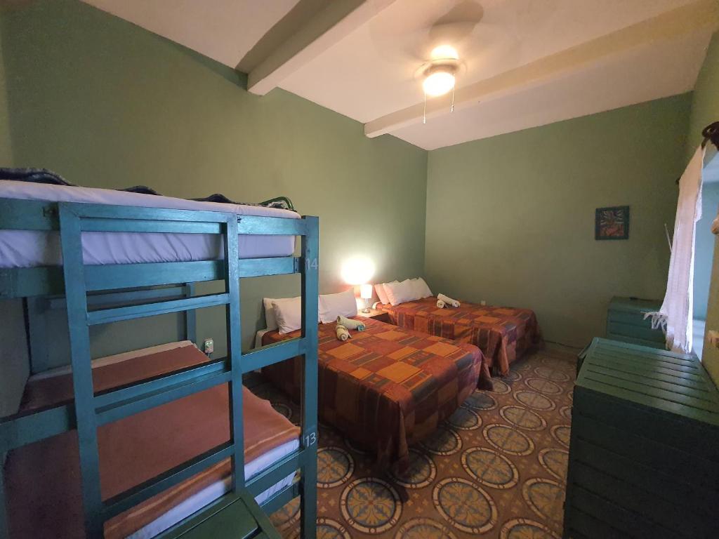 ein Zimmer mit zwei Etagenbetten und einem Tisch in der Unterkunft Hierba De Conejo Hostel in Oaxaca de Juárez