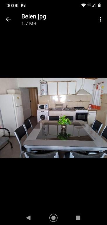 a kitchen with a table with a plant on it at Alojamiento Alem in General Alvear