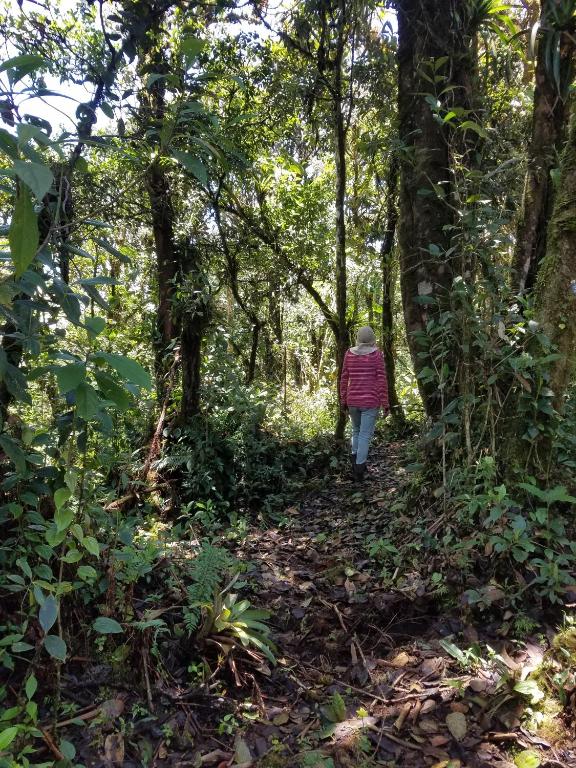 Hosté ubytování Escapadita al Bosque