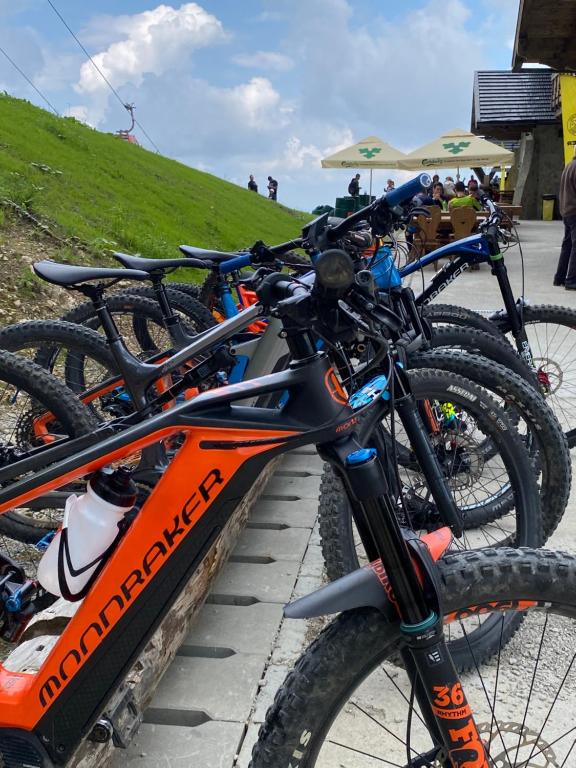 Jízda na kole v ubytování Yager Chalet nebo okolí