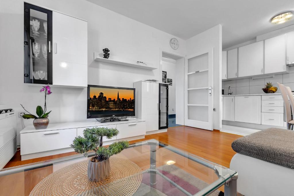 Kuchyňa alebo kuchynka v ubytovaní Apartment Ivo Makarska