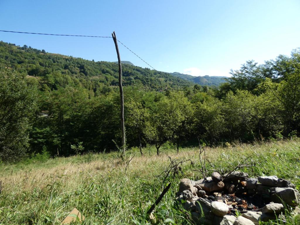 Příroda nedaleko luxury tent