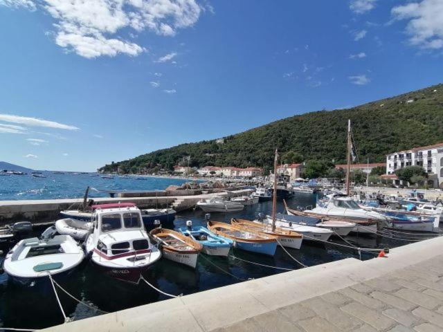 a bunch of boats are docked in a harbor at Apartment Antea-Opatija Riviera in Mošćenička Draga