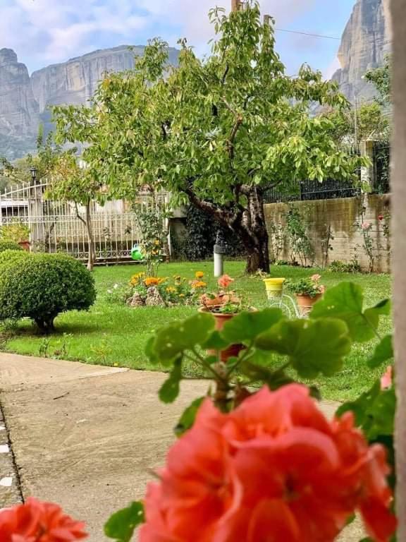 Zahrada ubytování Meteora view garden