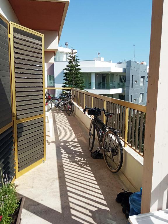 Jízda na kole v ubytování NEX Hostel nebo okolí