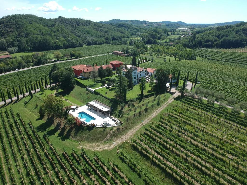 eine Luftansicht eines Hauses auf einem Weinberg in der Unterkunft Il Roncal Wine Resort - for Wine Lovers in Cividale del Friuli