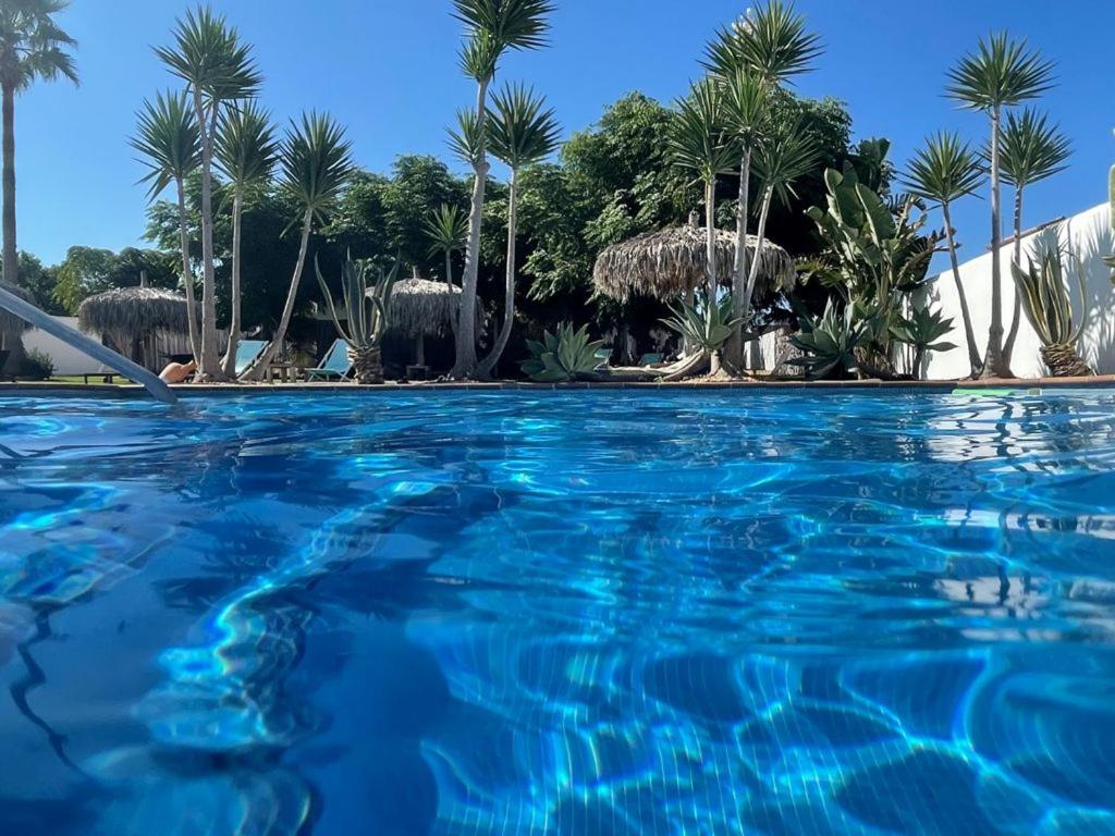 een blauw zwembad met palmbomen op de achtergrond bij Alojamiento Rural "El Charco del Sultan" in Conil de la Frontera