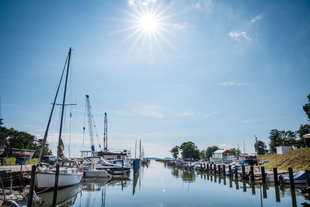 un gruppo di imbarcazioni ormeggiate in un porto turistico di Marina Martinshafen a Sassnitz