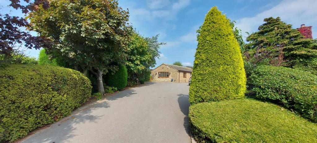 a driveway with bushes and a house in the background at Springwood Cottage in Holmesfield