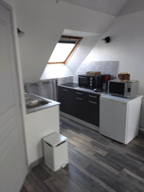 an attic kitchen with a sink and a microwave at Studio roeze in Roézé-sur-Sarthe