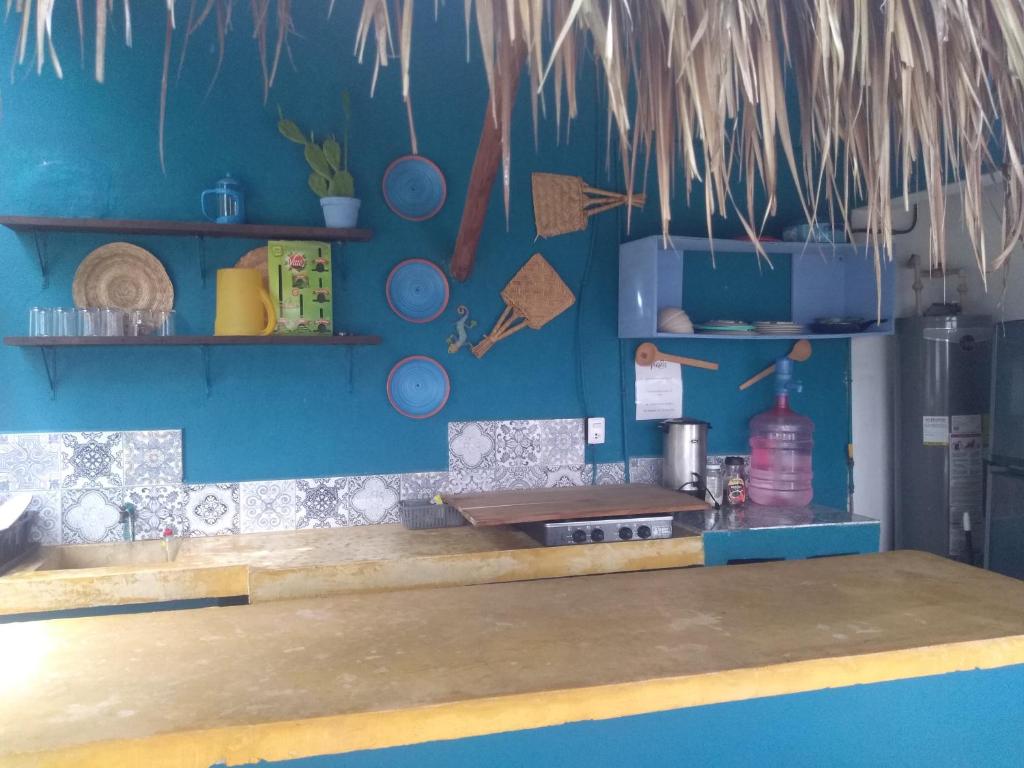 kuchnia z niebieskimi ścianami i blatem z przyborami kuchennymi w obiekcie Hostal Jardin w mieście Mahahual