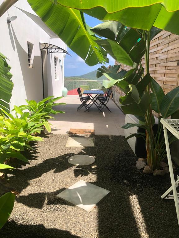 Zahrada ubytování Le DAMOUR Appartement 1 ou 2 chambres