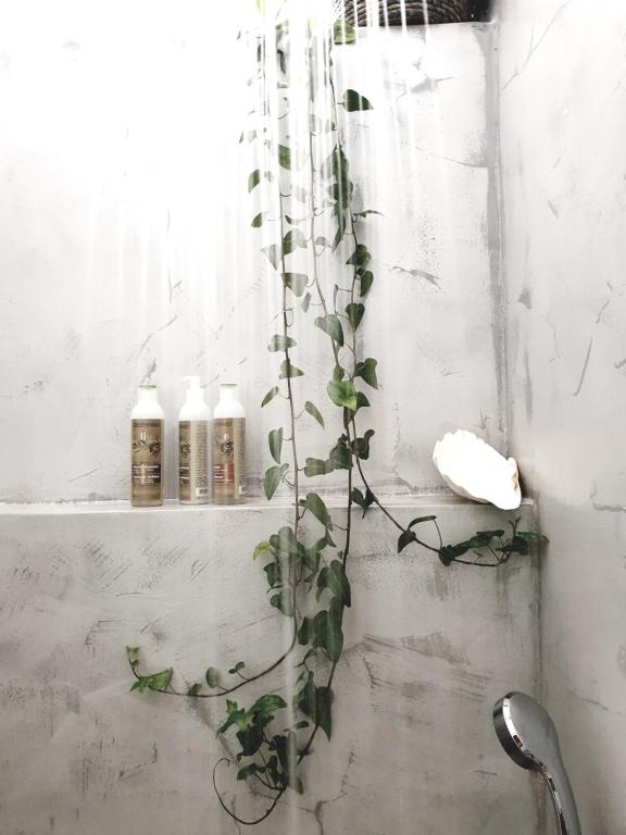 a plant in a bathroom with a shelf with bottles at Aretousa Deluxe Downtown Apartment in Skala