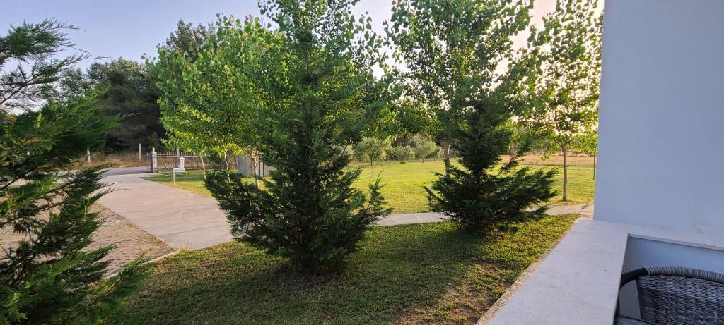 Riviera Inn apartments - 13