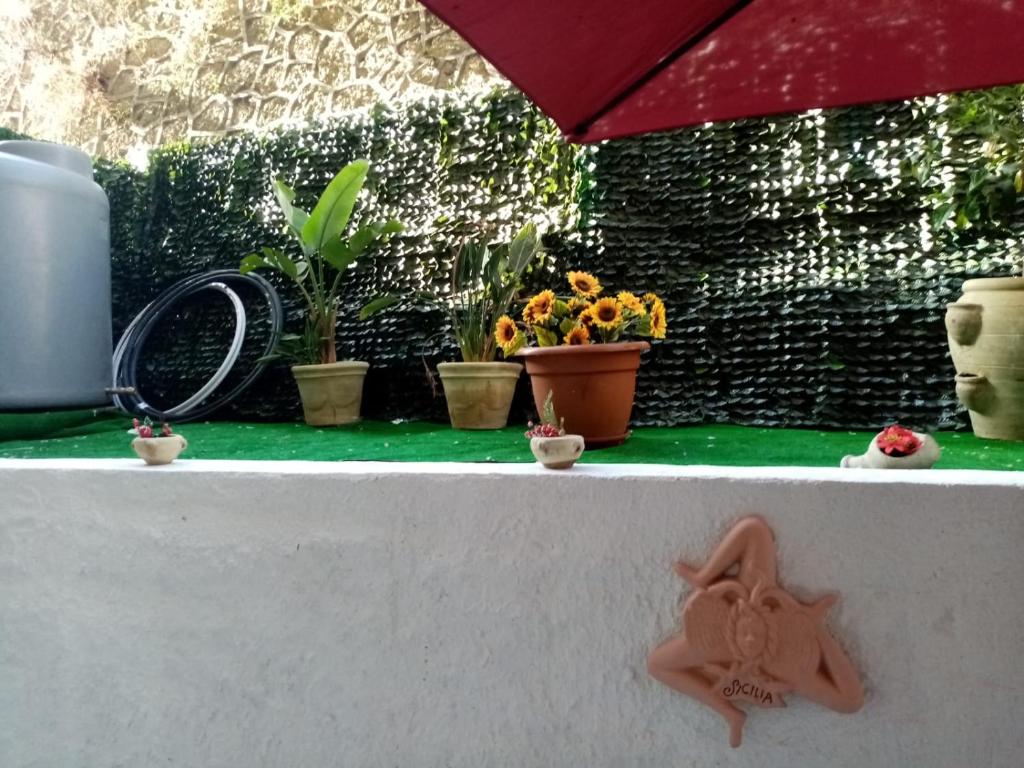 La Casa di Antonella - 17