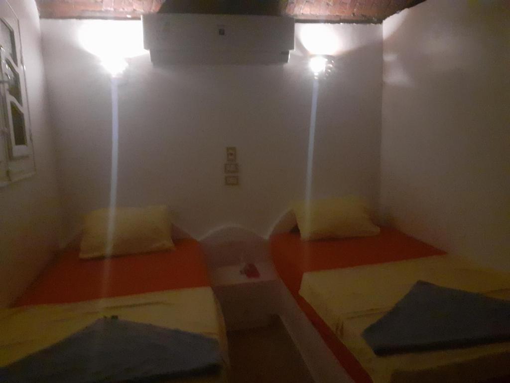 Kafana Guest House Nile View - 4