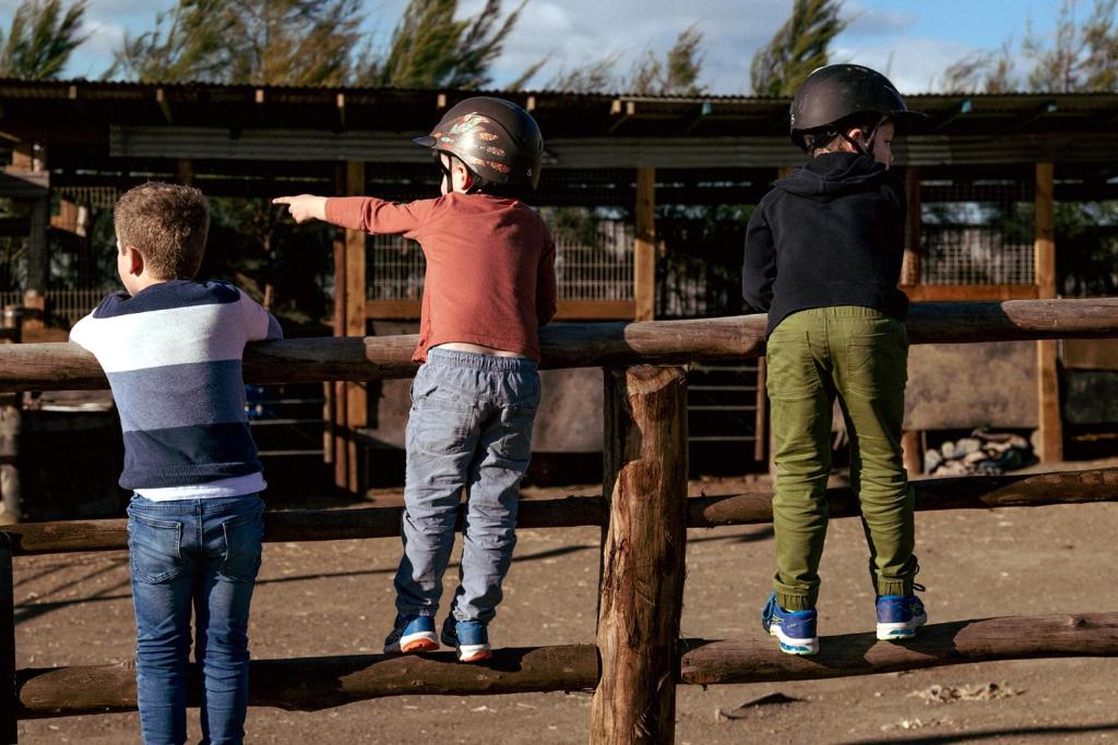 Ospiti di Hunter Valley Resort, Hunter Farm Adventure Centre & 4 Pines at the Farm
