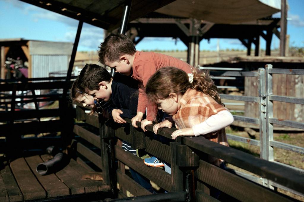 Bambini che soggiornano presso Hunter Valley Resort, Hunter Farm Adventure Centre & 4 Pines at the Farm