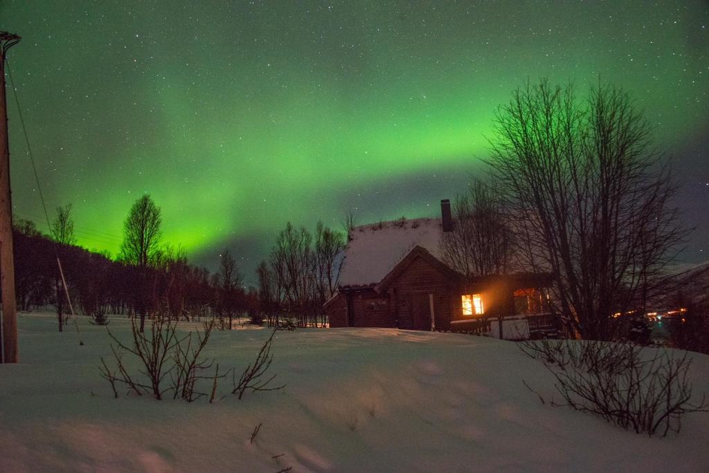 una aurora en el cielo sobre una casa en Kvalsund Lodge, en Futrikelv