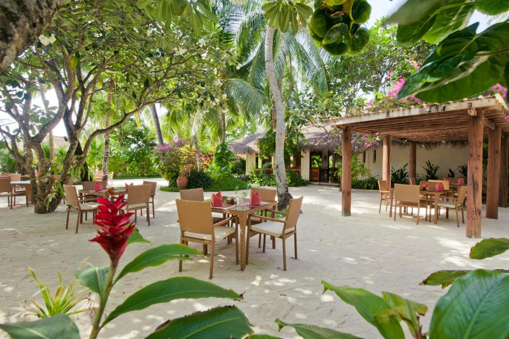 Zahrada ubytování Kuramathi Maldives