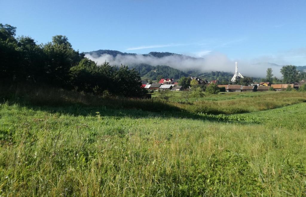 a field of grass with a town in the background at Wypoczynek Pod Trzynastką in Krościenko