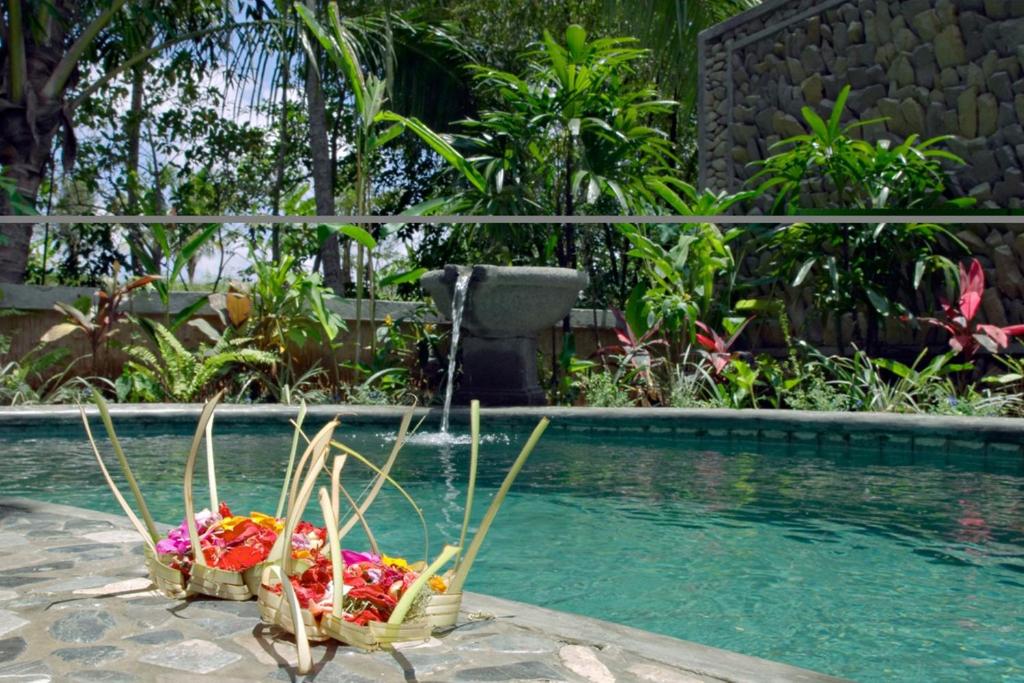 Nefatari Exclusive Villas - 12