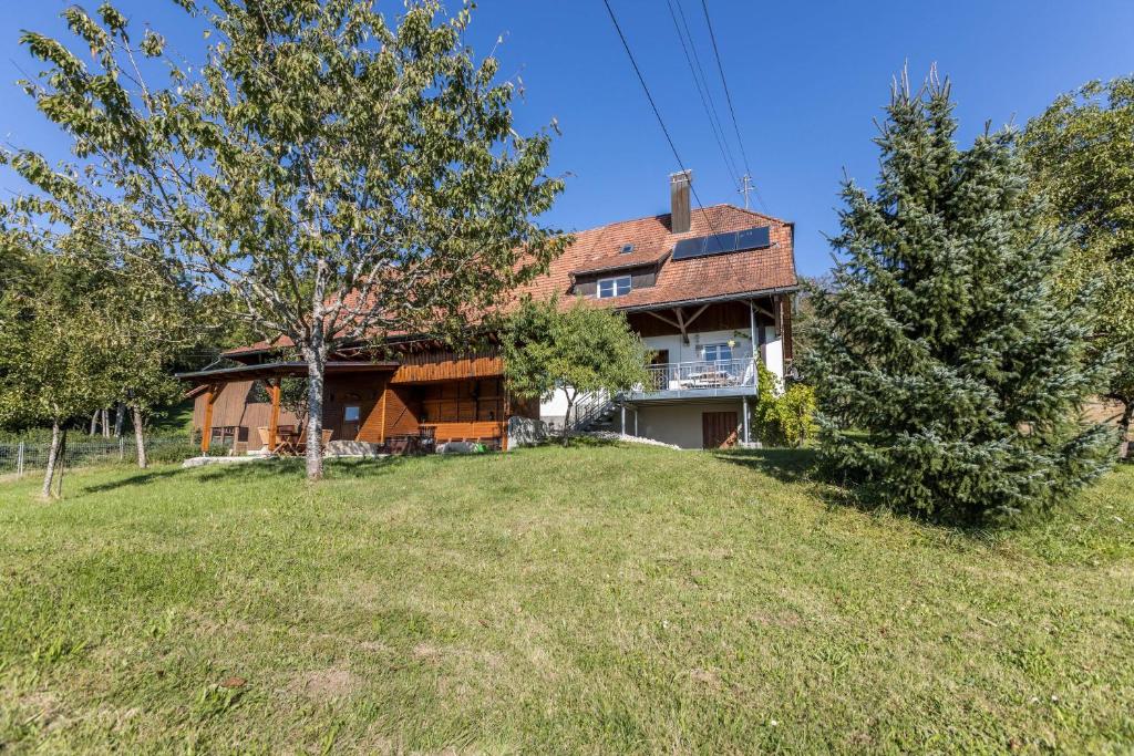 a house on a hill with a yard at Der Lachenbuckhof in Blumberg